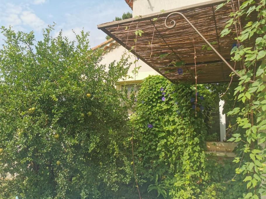 Maison Avec Piscine Dans Village Provencal. Courthézon Dış mekan fotoğraf